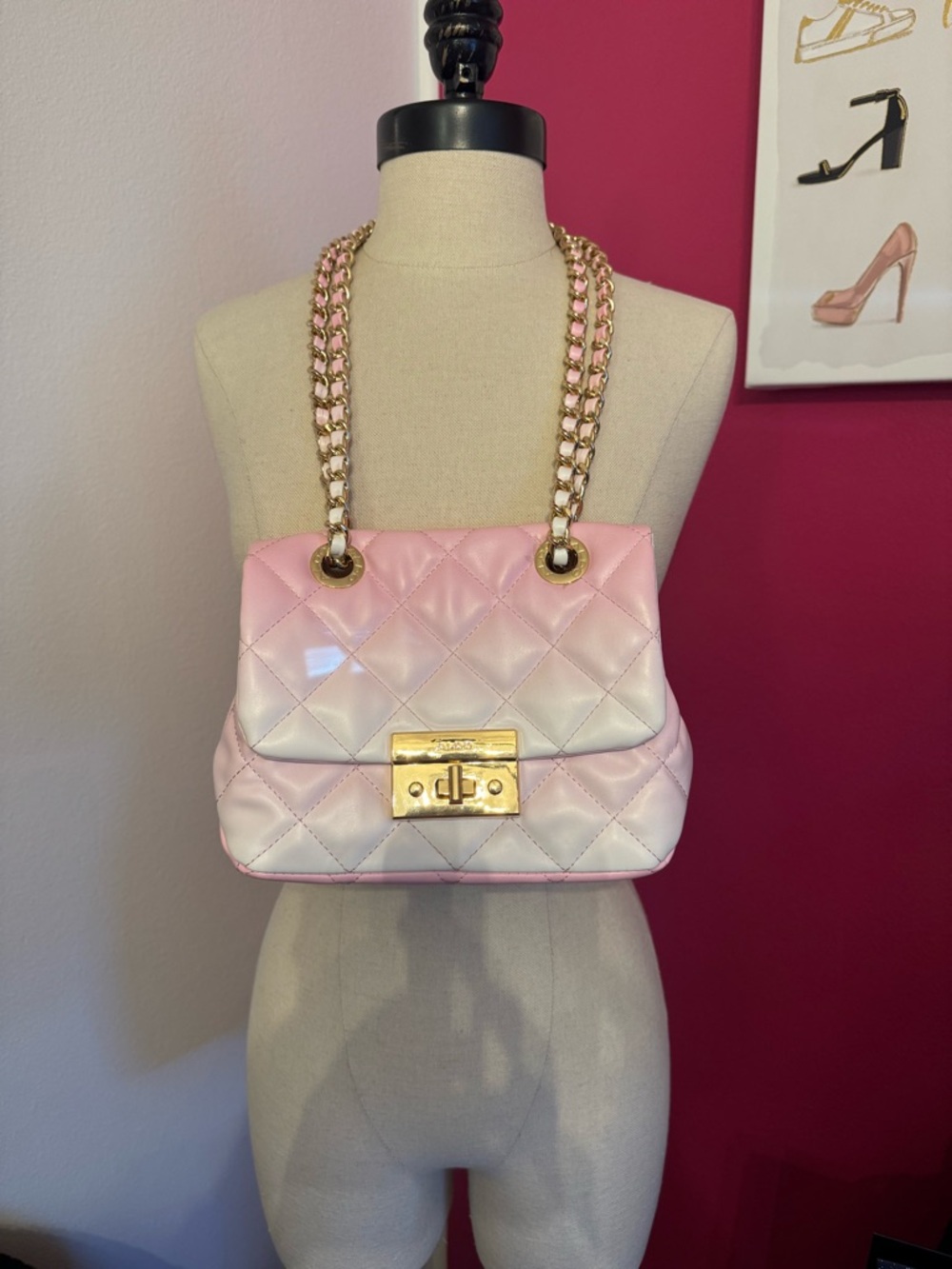 Aldo Ombre Quilted Handbag